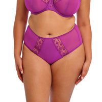 ELOMI MATILDA FULL BRIEF