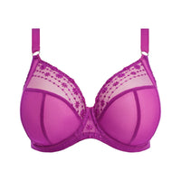 ELOMI MATILDA PLUNGE BRA - HOLLYHOCK