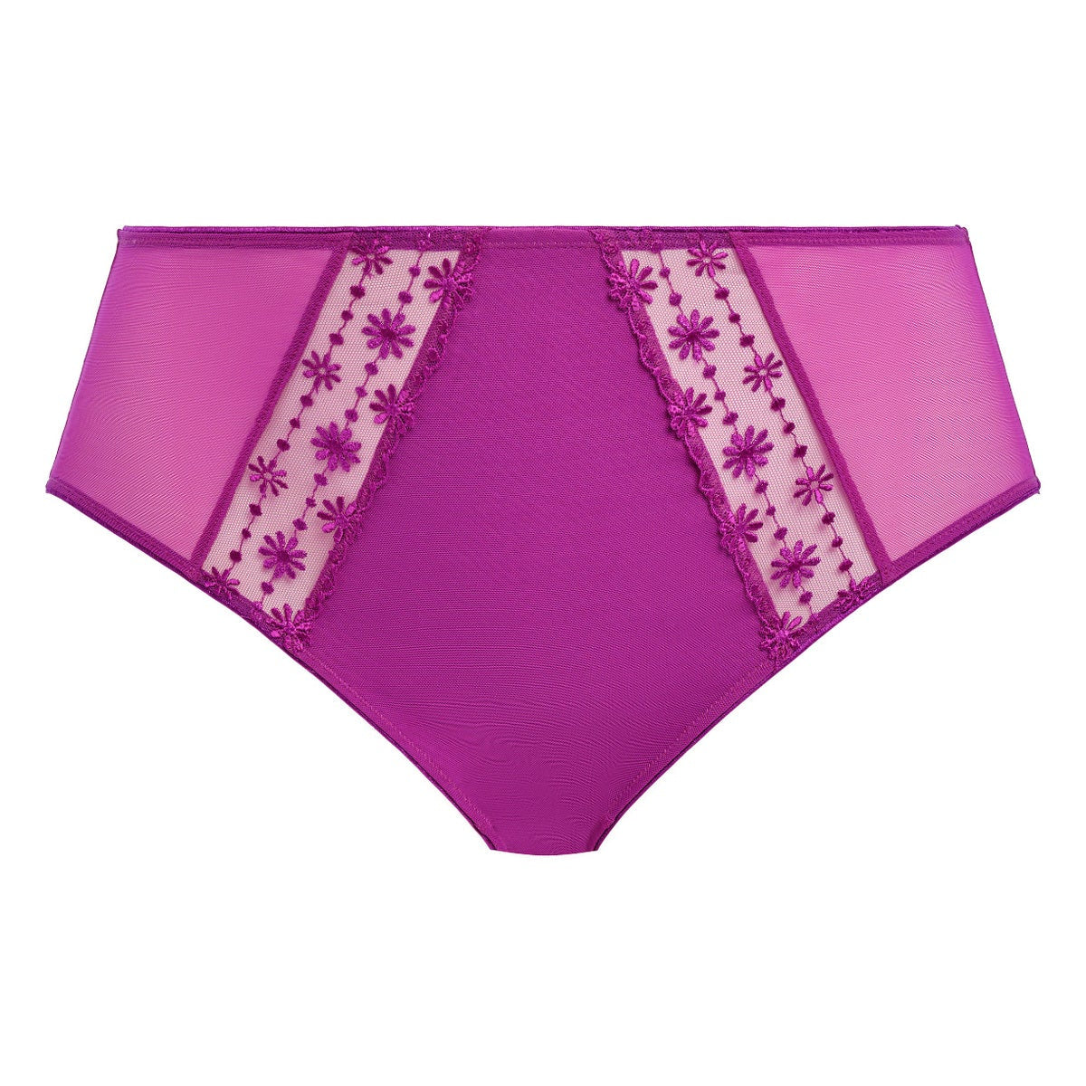 ELOMI MATILDA FULL BRIEF
