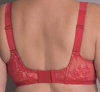 ANITA ABBY UNDERWIRED BRA FULL CUP - CHERRY