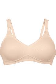 ANITA LENI COMFORT BRA - SMART ROSE
