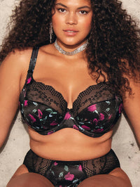 ELOMI LUCIE STRETCH LACE PLUNGE BRA - ROCK N' ROSES