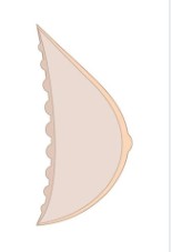 AMOENA ENERGY COSMETIC BREAST FORM