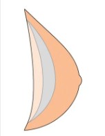 AMOENA NATURA LIGHT BREAST FORM